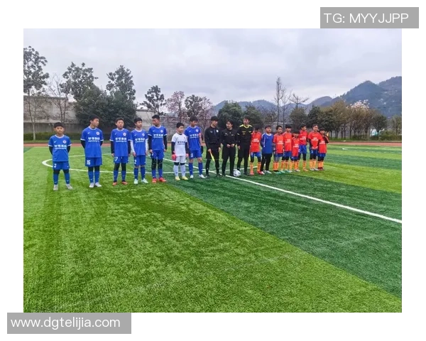 张丽独家揭秘：从球场到生活的足球智慧与心得分享